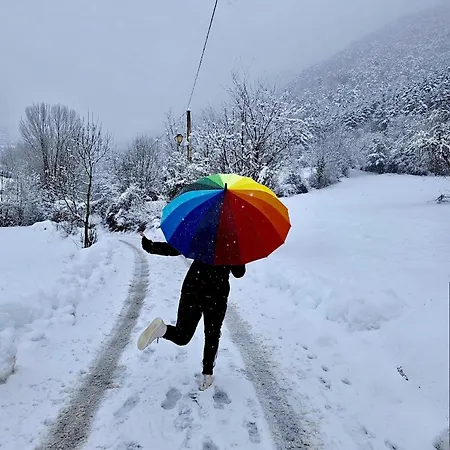 7 Valles Centro 公寓