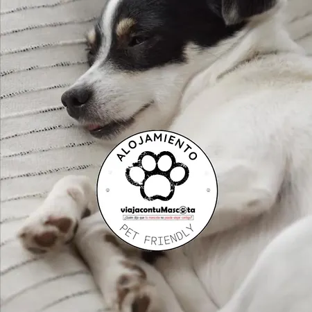 7 Valles Centro * 哈卡