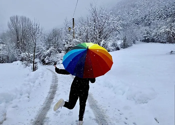 7 Valles Centro 아파트