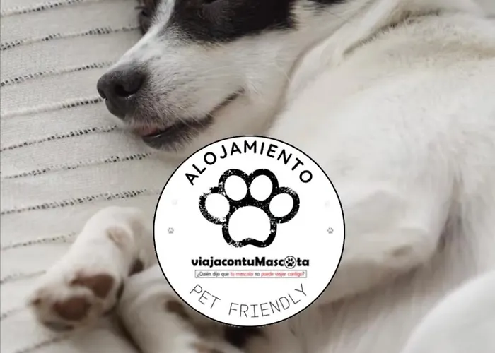 7 Valles Centro * 하카